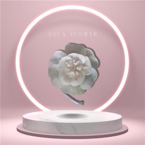 Sola Flower Replacement